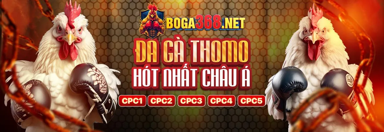 Đá Gà Trực Tuyến Hấp Dẫn trên Fabet Link Mới 2026