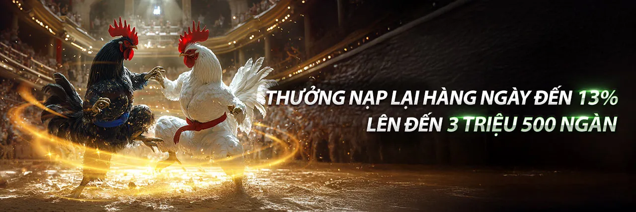 Sân vận động lớn với khán giả cổ vũ, thể hiện sự hứng khởi của cá cược thể thao tại Fabet link mới