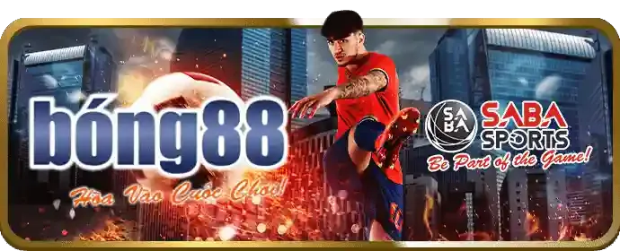 Các loại kèo cược đá gà phong phú